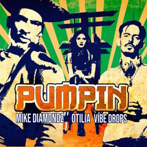 收聽Mike Diamondz的Pumpin歌詞歌曲