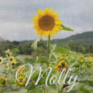 收听Kenny Rogers的Molly歌词歌曲