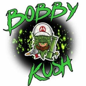 收听Bobby Kush的Gotta Run (VIP Edit)歌词歌曲