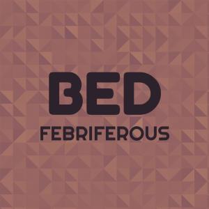 Album Bed Febriferous oleh Various