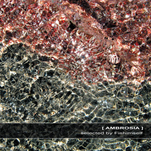 ดาวน์โหลดและฟังเพลง Homo Imperceptibilis พร้อมเนื้อเพลงจาก Sygnals