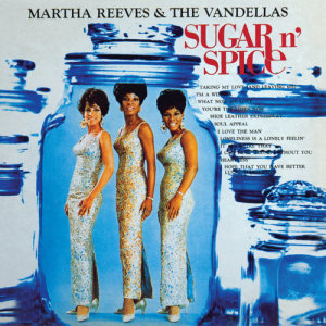 ดาวน์โหลดและฟังเพลง Taking My Love (And Leaving Me) พร้อมเนื้อเพลงจาก Martha Reeves & The Vandellas