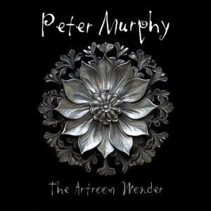 Album The Artroom Wonder from Peter Murphy