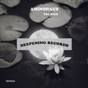 Album The Feels from Aminohaus