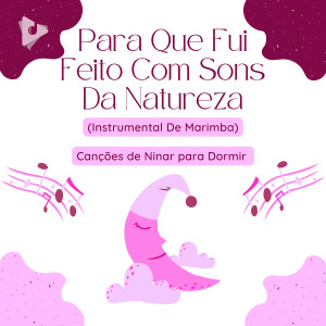 Para Que Fui Feito Com Sons Da Natureza (Marimba Instrumental) dari Músicas Infantis