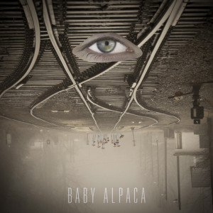 收聽Baby Alpaca的Fools in Love歌詞歌曲