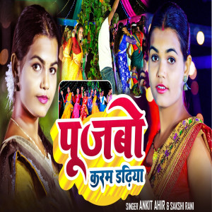 Listen to Pujbo Karam Dadhiya song with lyrics from Ankit Ahir