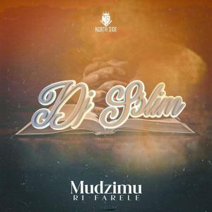 DJ Sslim的專輯Mudzimu ri farele