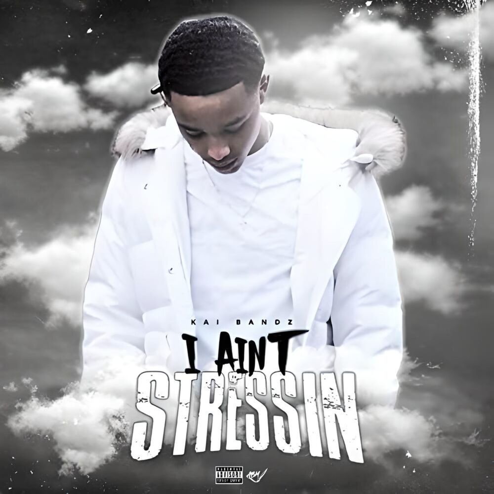 I Ain't Stressin (Explicit)