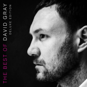 ดาวน์โหลดและฟังเพลง Enter Lightly พร้อมเนื้อเพลงจาก David Gray