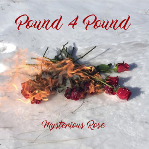 Album Pound 4 Pound from 
