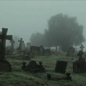 ดาวน์โหลดและฟังเพลง offline (feat. sh1ny & läkerolplaya) พร้อมเนื้อเพลงจาก StonedPlug