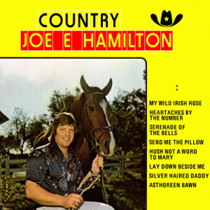 ดาวน์โหลดและฟังเพลง Heartaches by the Number พร้อมเนื้อเพลงจาก Joe E. Hamilton