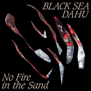 Dengarkan How You Swallowed your Anger lagu dari Black Sea Dahu dengan lirik