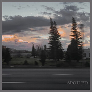 Album Won't You Stay? from Spoiled