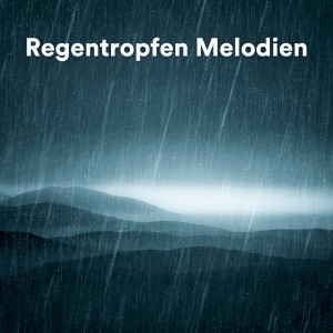 อัลบัม Regentropfen Melodien ศิลปิน 