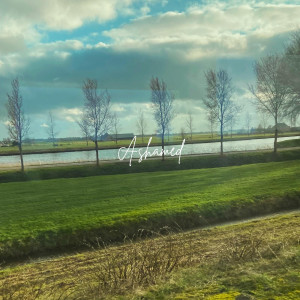Listen to Ashamed song with lyrics from Janie