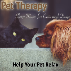 Listen to Relaxing Music song with lyrics from Dog Music Dreams