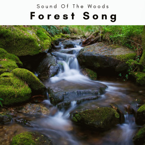 A Forest Song