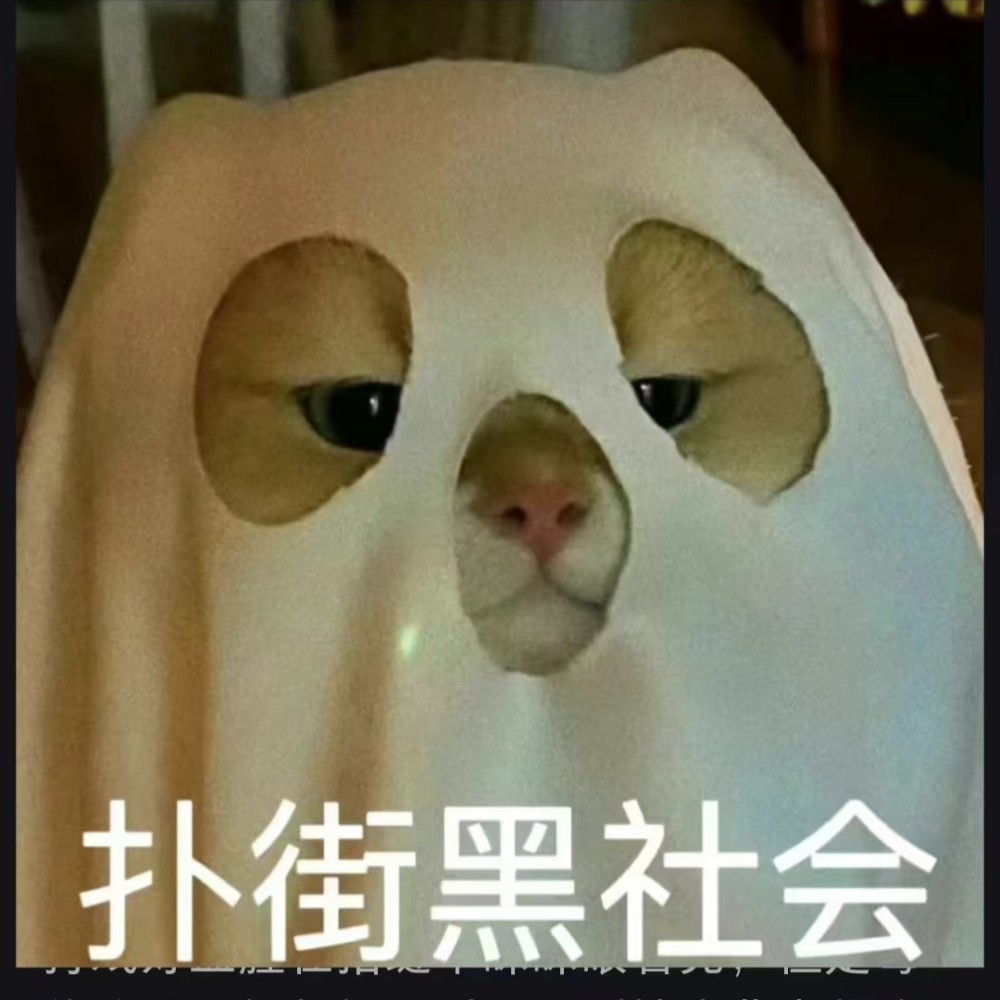 月侨侨YES