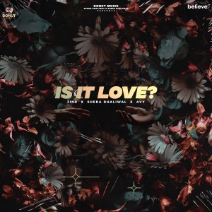 Album Is It Love from 