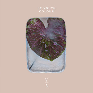 Le Youth的專輯Colour