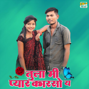 Listen to Tula Mi Pyar Karaso Y song with lyrics from Raju Wagh