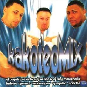 收聽DJ Nelson的Hasta Que Se Rompa El Cuero歌詞歌曲