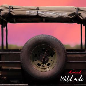 收聽Arrived的Wild ride歌詞歌曲