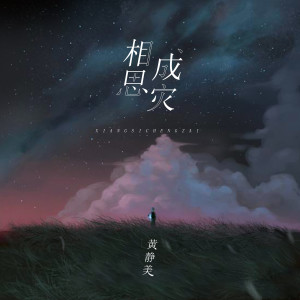 Listen to 相思成灾 (DJ House版) song with lyrics from 黄静美