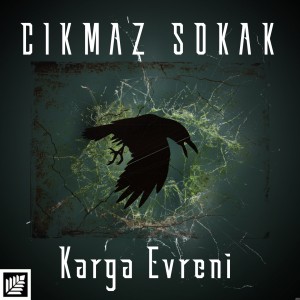 Listen to Çıkmaz Sokak song with lyrics from Karga Evreni