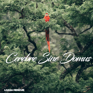 收听Lhasa Mencur的Cerebre Sine Domus歌词歌曲