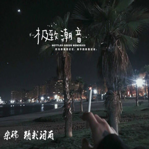 Album 极致潮音 from 