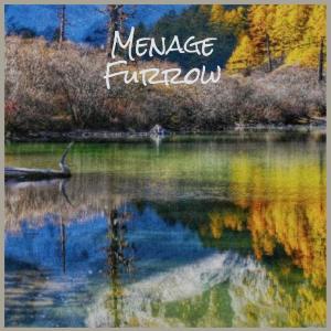 Album Menage Furrow from Various
