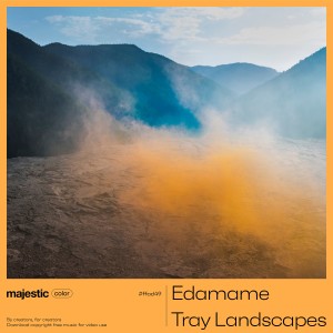 Edamame的專輯Tray Landscapes