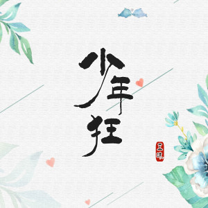 Listen to 少年狂 song with lyrics from 王沫