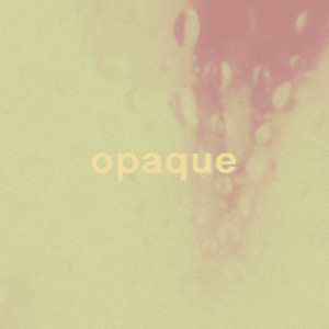 Bessie Turner的專輯Opaque