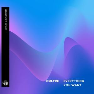 Dengarkan Everything You Want lagu dari Cultre dengan lirik
