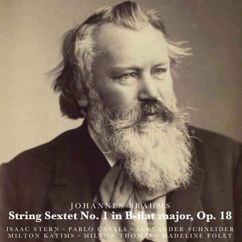 String Sextet No. 1 in B-Flat Major, Op. 18: I. Allegro ma non troppo