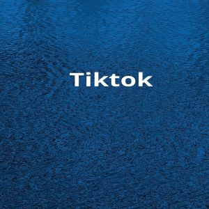 收听Basant lamsal的Tiktok歌词歌曲