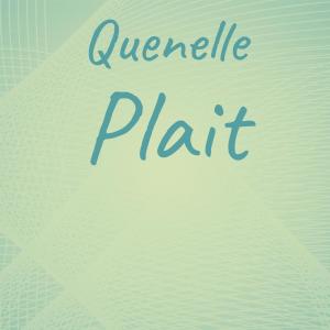 Various的专辑Quenelle Plait