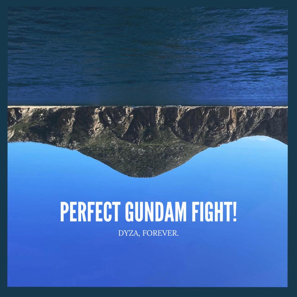 Perfect Gundam Fight!