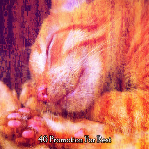 Album 46 Promotion For Rest from Spa Relaxation & Spa