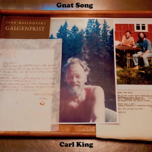 ดาวน์โหลดและฟังเพลง Gnat Song พร้อมเนื้อเพลงจาก Carl King