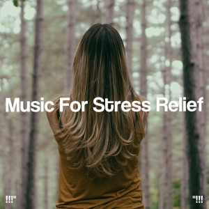 !!!" Music For Stress Relief "!!!