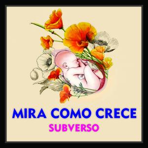 ดาวน์โหลดและฟังเพลง Mira Como Crece พร้อมเนื้อเพลงจาก Subverso