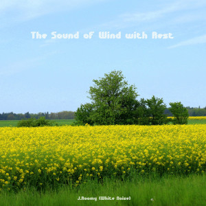 Dengarkan lagu The Sound of Wind with Rest nyanyian J.Roomy dengan lirik