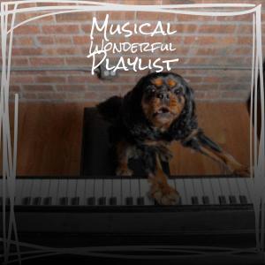 Album Musical Wonderful Playlist from Various