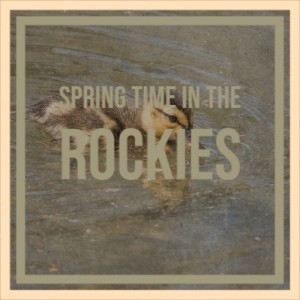 Dengarkan Pinetop's Boogie lagu dari Lionel Hampton dengan lirik