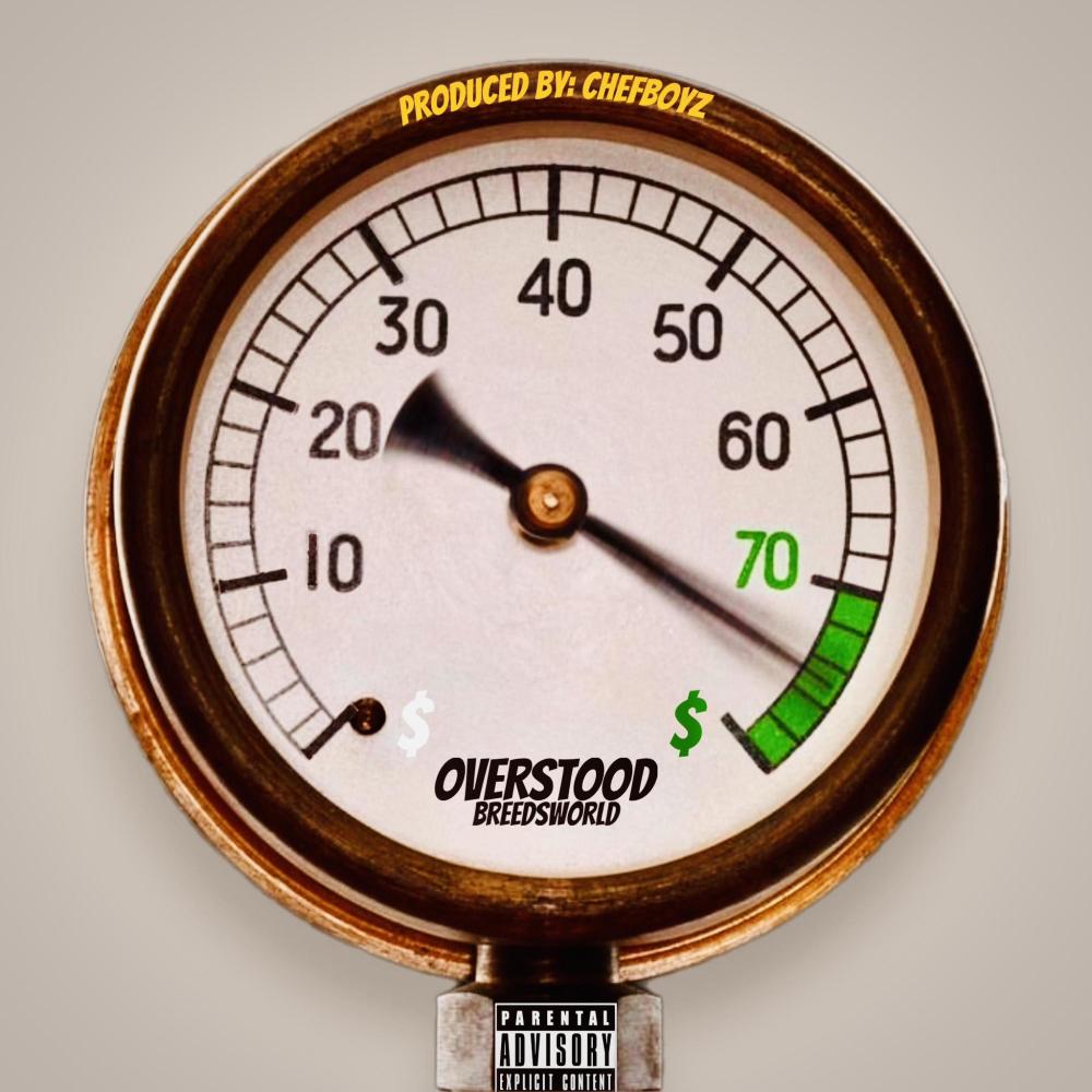 FALL IN LINE (feat. Chenelle McCoy) (Explicit)